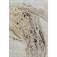 3' X 5' Beige Ivory And Taupe Abstract Washable Area Rug With UV Protection