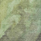 286570254