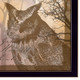 Set Of Two Wildlife Collection Black Framed Wall Art