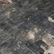 306699080