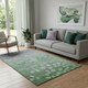 5' X 8' Green And Gray Floral Washable Area Rug With UV Protection