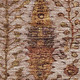 5' X 8' Terra Cotta And Beige Floral Vines Washable Area Rug With UV Protection