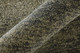 292841636