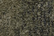 292841165