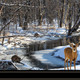 Great Outdoors Nature 2 Black Framed Print Wall Art