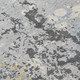 300917420