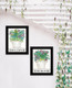 285959894