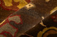 304916836