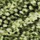 286179541