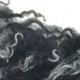 159528423