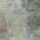 286573973