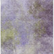 286572512