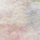 309005613