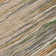 230113962