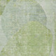 230224017