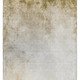 286165012