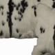 286128379