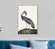 Great Heron II Canvas Silver Floater Frame Print Wall Art