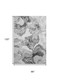 306700387
