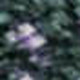 286497158