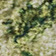 286498381