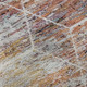 286497630