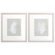 Set Of Two Palm Oasis White Framed Print Wall Art