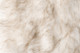 159761849