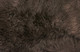 159639743