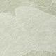 9' X 12' Green And Ivory Floral Washable Indoor Outdoor Area Rug