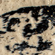 159637551