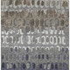 306653405