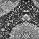 9' X 12' Black And Granite Gray Damask Washable Indoor Outdoor Area Rug