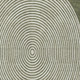 307708617