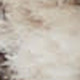 5' X 7' Beige And Grey Oriental Power Loom Non Skid Area Rug