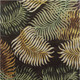 5' X 8' Espresso Beige And Green Wool Botanical Leaves Hand Tufted Area Rug