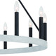 Black And White Candle Style Twelve Light Metal Dimmable Chandelier
