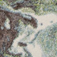 159528173