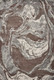 159531021