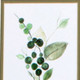 Set Of Two Sprigs in Green White Framed Print Wall Art