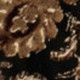 307520485