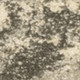 159664853