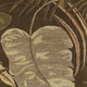 159531765
