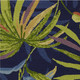 5' X 8' Blue Floral Indoor Outdoor Area Rug