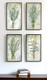 Set Of Four Herbs Black Framed Print Wall Art