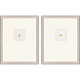 Set Of Two Insect Intaglio I Silver Framed Print Wall Art