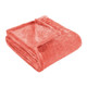 Twin Coral Fleece Plain Weave Plush Blanket