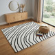 4' X 6' Black and White Abstract Area Rug