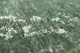 166820263