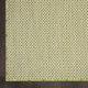 242829558